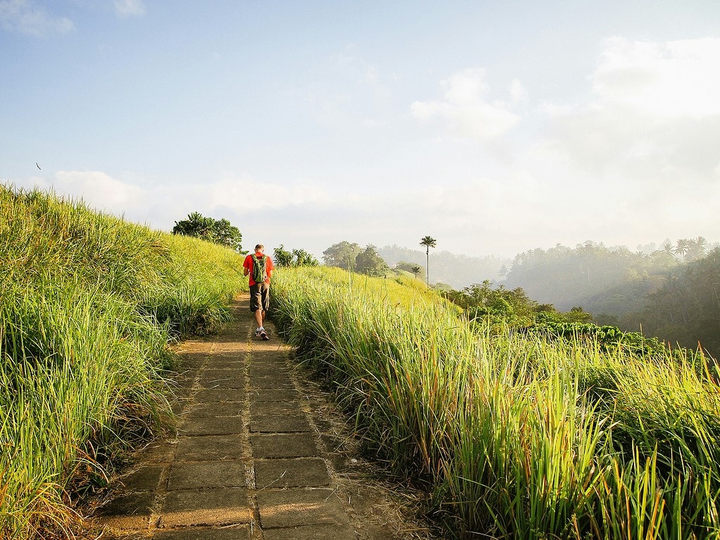 A tourist walking through Campuhan rice field in Bali.